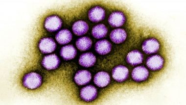 Adenovirus Breakout: 10th Child Dies at The New Jersey Nursing Home Due to Fatal Viral Infection