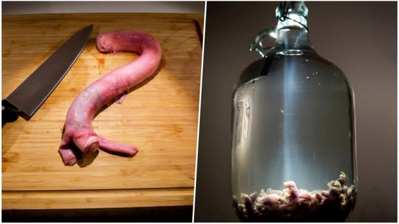 Disgusting Food Museum Opens in Sweden! From BullтАЩs Penis to Mouse Wine, Here Is the Menu (View Pics) Disgusting Food Museum Opens in Sweden! From BullтАЩs Penis to Mouse Wine, Here Is the Menu (View Pics)