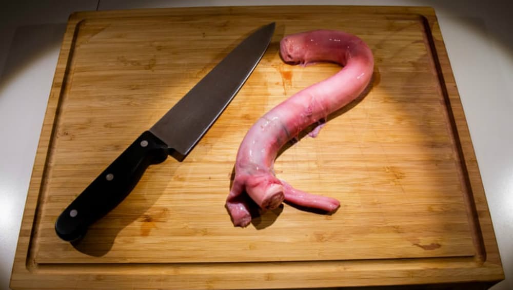 Penis Cutting.