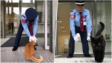 Two Stubborn Cats Ken-Chan & Goasaku Continue Their Attempt to Get Inside Japan’s Art Museum After Repeated Denial Since Two Years, View Pics