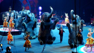 Circus Shows: Centre Proposes Ban on Use of All Animals