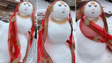 Snow Woman Bride, Farah Made by a Canadian Family Is Our Latest Crush Who Is Going Viral for All the Right Reasons