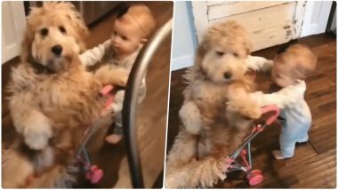 Naughty Kid Pushes Dog From Her Ride Is the Cutest Video on the Internet