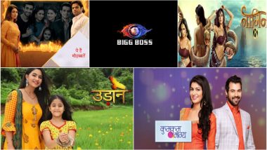 World Television Day 2018: Bigg Boss 12 to Naagin 3, Five Indian TV Shows That We Wish Go Off Air ASAP!