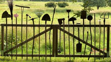 How to Take Care of Gardening Tools? Follow These Steps to Ensure Good Condition of Equipments at Home
