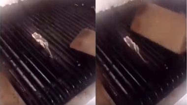 Employees Grill Rat in a Hawaii-Based Teddy’s Bigger Burgers Restaurant, Thankfully Shuts Down after Gross Video Goes Viral