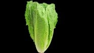 Romaine Lettuce in US Contaminated By E Coli Bacteria; CDC Warns People After 32 People Taken Ill