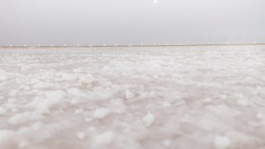 White Rann of Kutch 2018: Scenic Photos of the White Desert Land in Gujarat At Different Times of the Day