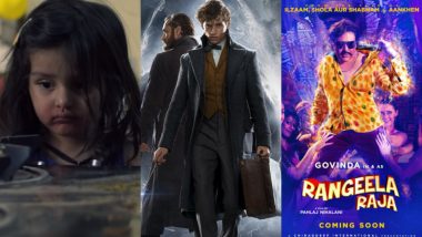 Movies This Week: Pihu, Mohalla Assi, Rangeela Raja, Fantastic Beasts 2, Boy Erased, Widows – Which One Will You Pick This Weekend? Vote