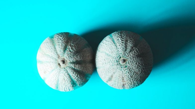 Sex Toy for Your Nipples? 6 Types of Nipple-Toys That Will Give You the ‘Nipplegasm’ You Are Craving For