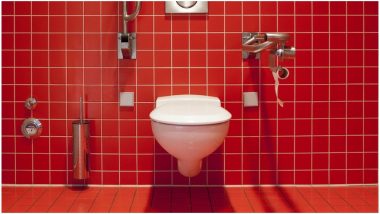 World Toilet Day 2018: Importance of This Day and the Need to Tackle Global Sanitation Crisis