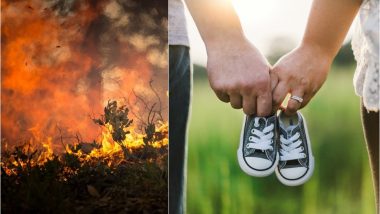 Baby Gender Reveal Party Caused Arizona Wildfire That Required 800 Firefighters to Douse (Watch Video)