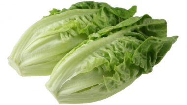 Romaine Lettuce Contaminated by E. Coli: FDA’s New Warning Says That Only Lettuce From Parts of California Should Be Avoided