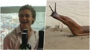 Australian Man Eats a Slug On a Dare From Friends, Dies 8 Years Later Due To Rat Lung Disease