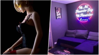 Sex Doll Brothel From Hong Kong This Mary Shuts Shop Within 2 Months of Opening