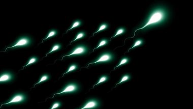 Sperm Count in Sons of Fathers Who Smoke is 50% Lesser! 7 Other Things That Affect Male Fertility