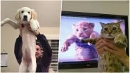 &lsquo;The Lion King&rsquo; Scene of Rafiki Holding Simba Recreated by Twitterati With Pet Dogs & Cats and the Pics Are Too Adorable