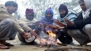 Mumbaikars Brave the Cold As Mercury Dips to 11 Degrees, Pune Shivers at Season's Lowest Temperature of 5.1 Degrees