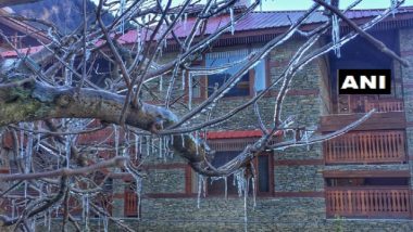 Himachal Pradesh Sees Temperature Fall Below Freezing Point