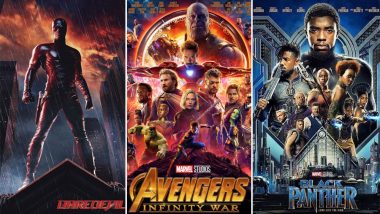 SAG Awards 2019 Nominations: Marvel In a Happy Place as Black Panther, Avengers: Infinity War and Daredevil Get a Spot in Different Categories