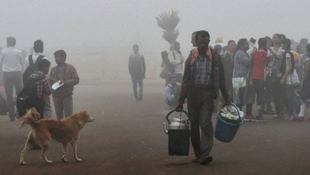 Mumbai Winter 2020: City Wakes Up to Chilly Morning at 15 Degree Celsius, Mercury Dips to 10 Degrees in Panvel Mumbai Winter 2020: City Wakes Up to Chilly Morning at 15 Degree Celsius, Mercury Dips to 10 Degrees in Panvel