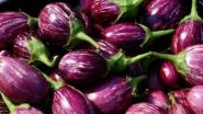Maharashtra Farmer Earns 20 Paise Per Kg for Brinjal Crop, Destroys Plantation in Despair