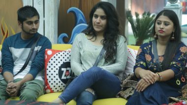 Bigg Boss 12, 14th December 2018 Episode Written Updates: Romil Chaudhary Thinks Sreesanth Is Not Genuine