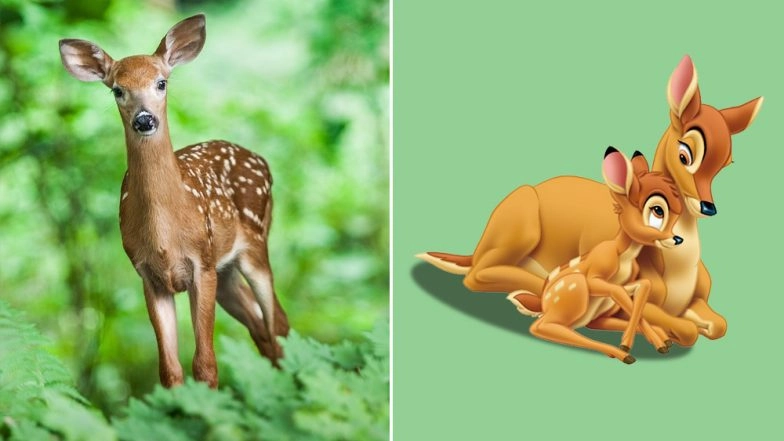 Deer poaching essay image