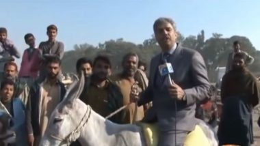 Forget Chand Nawab, This Pakistani Reporter's Video of Falling off a Donkey While Reporting is Hilarious!