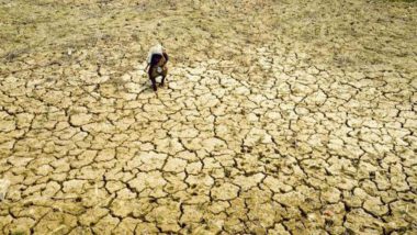 Maharashtra Drought: Yield of Kharif Crop Drop by 50% in Marathwada Region, Rs 3k Crore Relief Package Required, Says Report