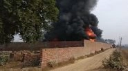Punjab: Fire Breaks Out at Foam Factory in Barnala; Six Fire Tenders Rush to Spot