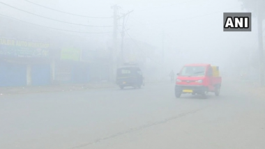 Temperature Drops to Zero in Karnal As Cold Wave Sweeps Haryana, Punjab & Delhi; Flights Delayed As Fog Takes Over Northern India
