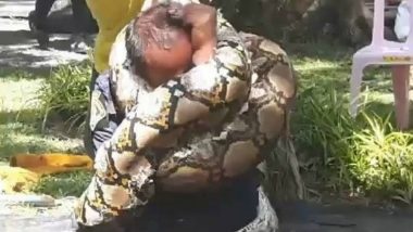Shocking Video of Giant Python Strangling a Fireman in Botched-Up Safety Drill in Bangkok Will Send Chills Down Your Spine