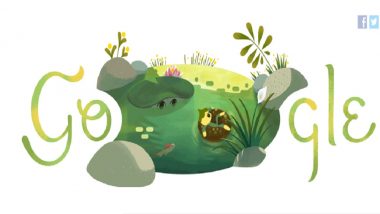 Summer Solstice 2018: Google Dedicates Doodle to 'Longest Day of the Year' in Southern Hemisphere