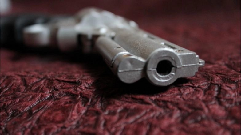 Visakhapatnam: Sailor On Board INS Shivalik Attempts Suicide by Shooting Himself With Service Revolver