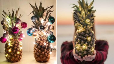 Christmas 2018: Decorated Pineapples Replace Christmas Trees This Holiday Season! (View Pics)