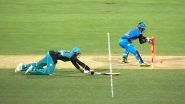 Colin Ingram Recalls James Pattinson After Third Umpire Rules Him Run-Out: Watch Funny Video During BBL 2018&ndash;19 Match Between Brisbane Heat and Adelaide Strikers