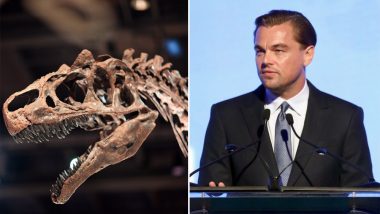 Is it Possible to Own Dinosaur Fossils? Leonardo DiCaprio's Interest in Buying 150-Million-Year-Old Bones Upsets Researchers