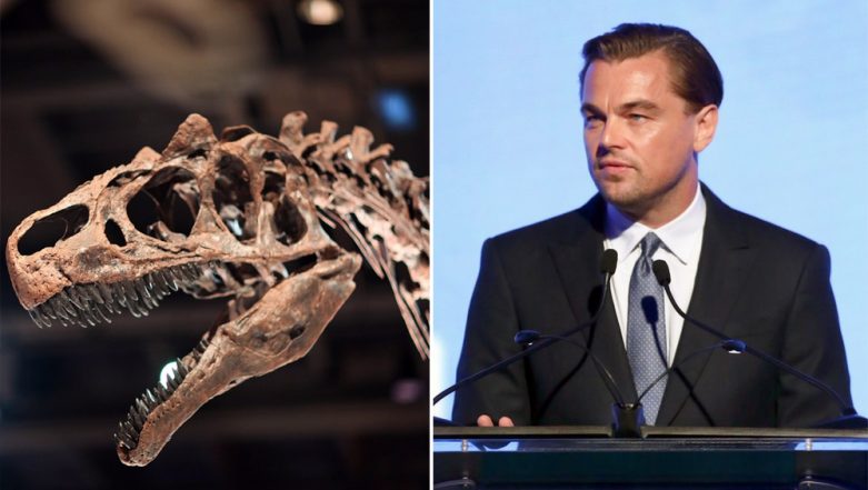 Is It Possible To Own Dinosaur Fossils Leonardo Dicaprios Interest In Buying 150 Million Year 