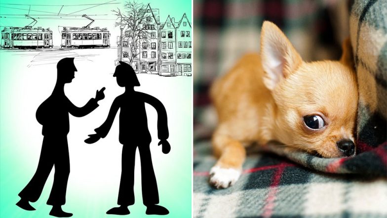 Husband Tells Wife, 'You Love Those Dogs More Than You Love Me' Before Throwing Their Chihuahuas Off The Balcony