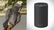 Parrot Befriends Amazon Alexa, Plays Songs and Shops Online While Owner is Away