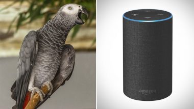 Parrot Befriends Amazon Alexa, Plays Songs and Shops Online While Owner is Away
