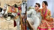 Priyanka Chopra, Nick Jonas Slams by PETA India for Using Animals at Their Wedding