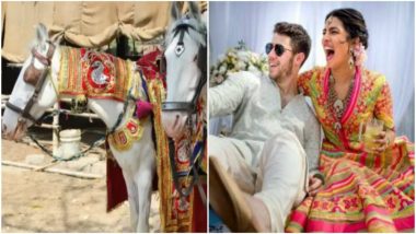 Priyanka Chopra, Nick Jonas Slams by PETA India for Using Animals at Their Wedding