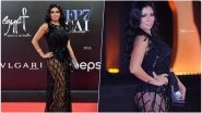 Rania Youssef May Face 5-Year Jail For Wearing Revealing Dress at Cairo Film Festival, Egyptian Actress Issues Apology