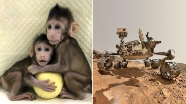 Biggest Science Inventions and Discoveries of 2018: From Cloning Monkeys to Curiosity Rover Giving Details About Mars, These Are Some of the Biggest Breakthroughs of This Year