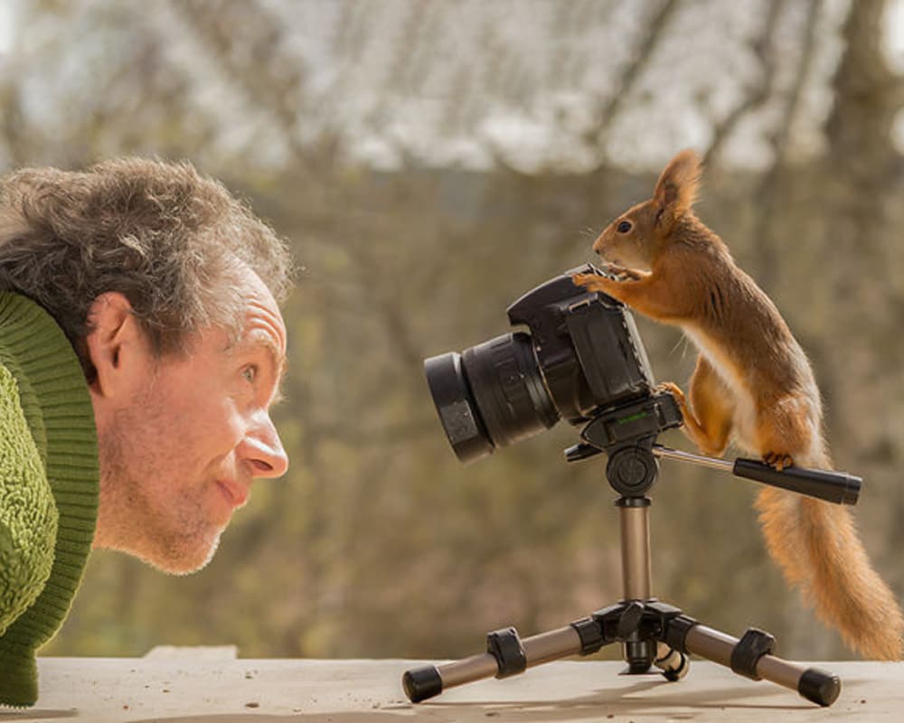 Squirrel turns photographer for the capturer. Squirrel turns photographer for the capturer.