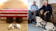 Photo of Late US President George Bush's Service Dog Sully Lying Next to His Casket Is Why We Say 'Dogs Are Man's Best Friend'