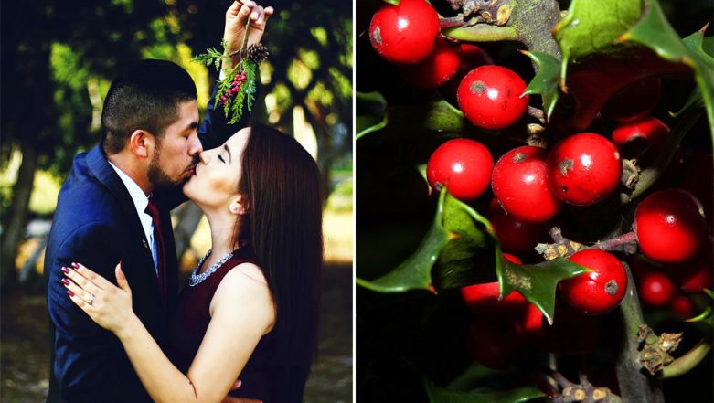 Why Do People Kiss Under The Mistletoe Know The Origin And Legend Behind Popular Christmas