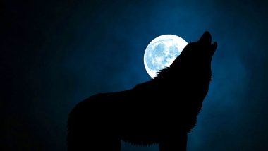 Super Blood Wolf Moon 2019 Date and Timings: Know About The Rare Astronomical Phenomenon Occurring in January